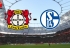Soi kèo Bayer Leverkusen vs Schalke 04, 20h30 ngày 11/05, VĐQG Đức